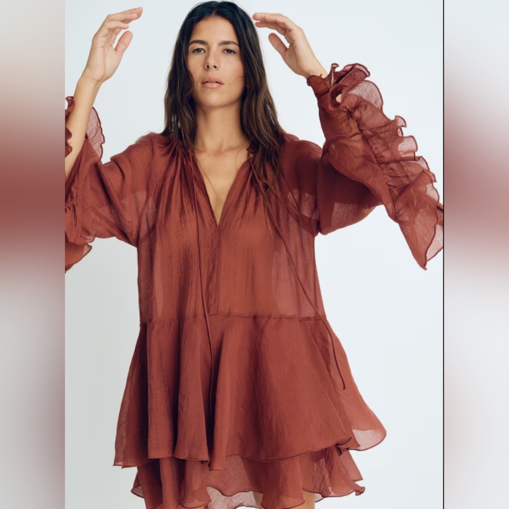 NWT H&M Flounced Ruffle Mini Dress In Rust - Picture 3 of 7